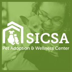 Programmatic Sponsorships: Establishing Your Approach, How-to, and What Sponsors Need 